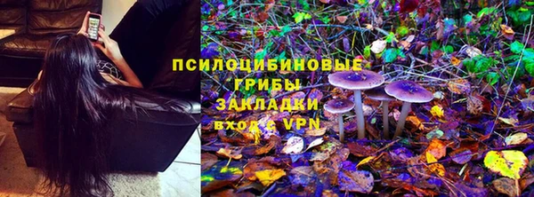 мет Белокуриха