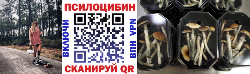 Псилоцибиновые грибы мицелий Ханты-Мансийск